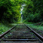 Beispielbild 1